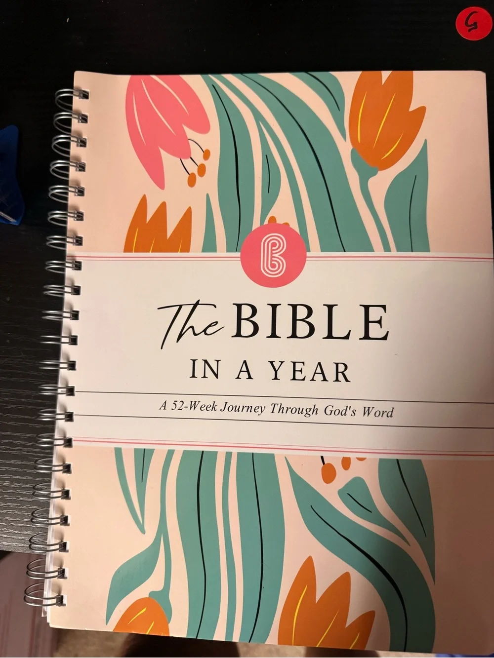 The Bible In A Year - Floral Pink & Teal Wall Art